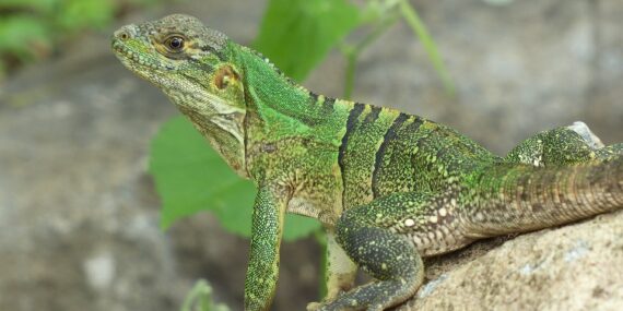 The Maldives is an exotic holiday destination