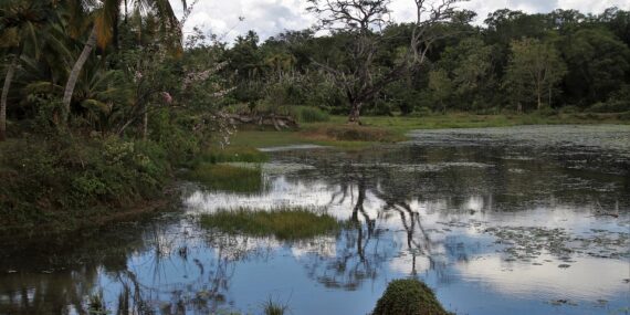 Top Five Exotic International Golf Destinations - Which One Makes Your List?